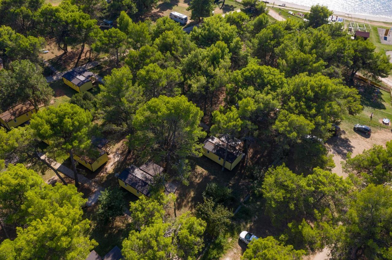 Holiday park Mobile Homes Camp Pineta - Adriatic Kampovi